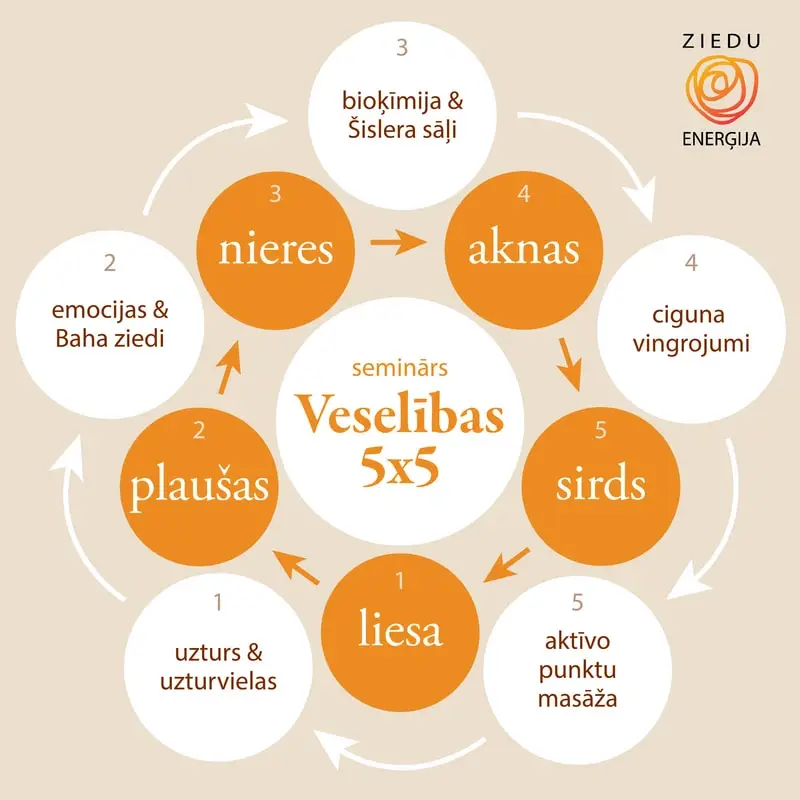 seminars 5x5 sislera sali